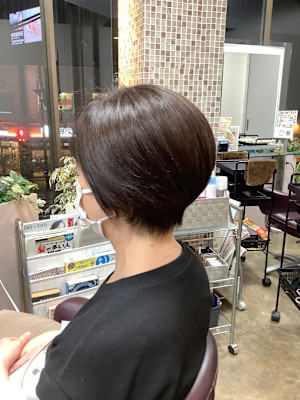 カールピア・モリモト かめいど×スタイル