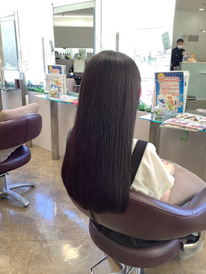 カールピア・モリモト かめいど×スタイル