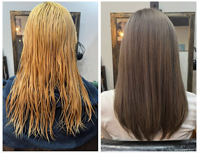 reFREO【リフレオ】×スタイル