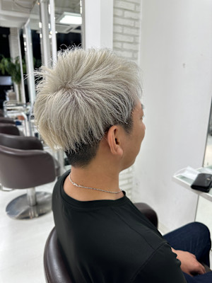 ホワイトシルバーカラー