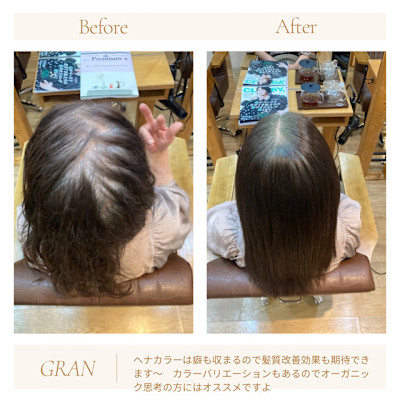 お客様髪質改善データ1815（ヘナ）