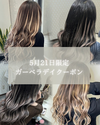 ガーベラデイクーポン