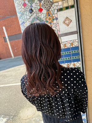 イルミナカラー