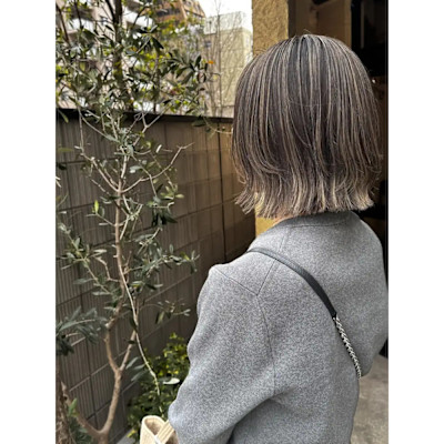 白髪ぼかしハイライト/脱白髪染め