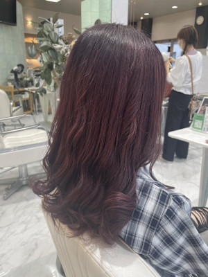 パープルカラー＆シャドールーツ