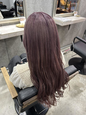 ペールピンクラベンダー