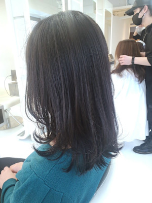 【大通駅・狸小路駅・すすきの駅】pyxis(ピュクシス)