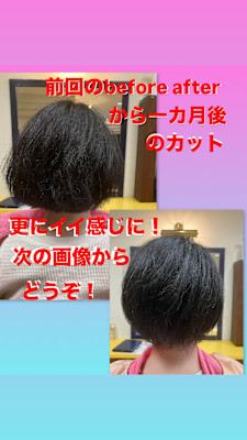 マッシュレイヤー