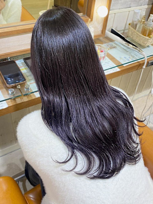 【Neolivekuta】ブルーラベンダー【町田】