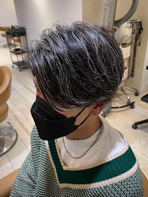 シルバーメッシュ