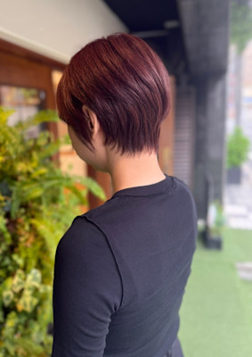 初夏の陽ざしに映えるピンクブラウン