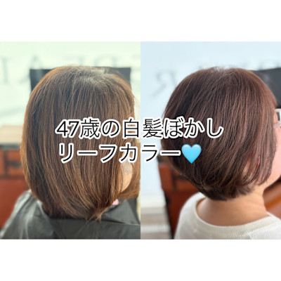 白髪やパサつきでお悩みのあなたへ！