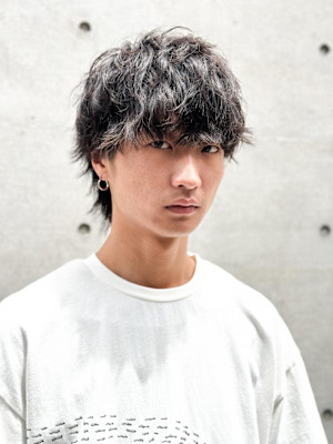 動かす！ミディアムウルフ！