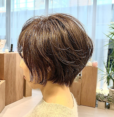 新丸子　武蔵小杉　ショート