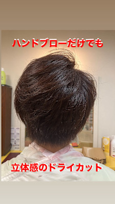 マッシュレイヤーボブ