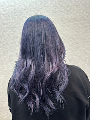 ラベンダーアッシュ/パープルカラー/ラベンダーカラー
