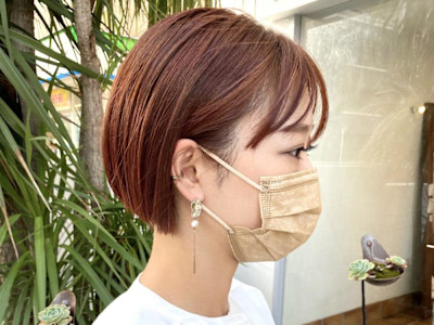 アプリコットオレンジ／アプリコットオレンジ