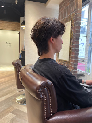 フェザーウルフ