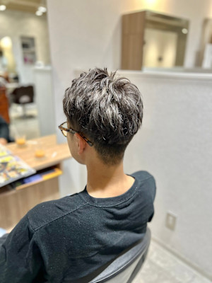 シルバーメッシュ