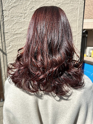 Luxury Salon Wish×スタイル