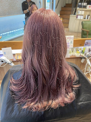 Hair Healing Wish×スタイル