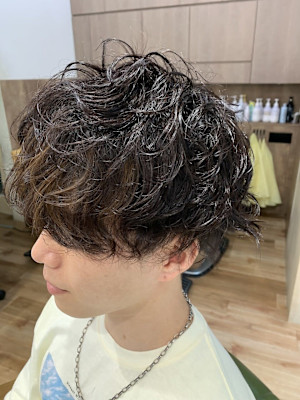 Hair Healing Wish×スタイル