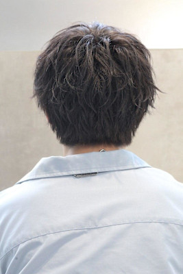 刈らないツイスパマッシュ