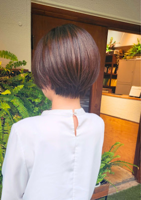 夏映えオリーブベージュの美シルエットショート