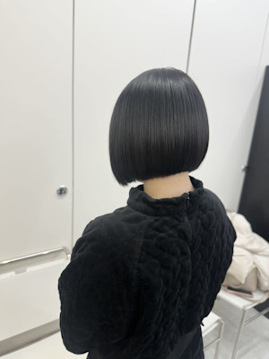 　りんご幹細胞×Bob