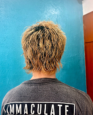 スパイキーウルフ