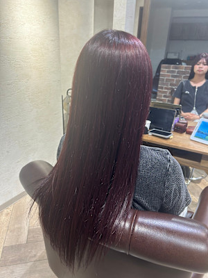 パープルレット