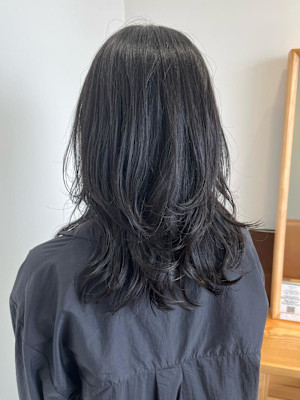 ロングレイヤー