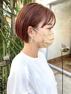 アプリコットオレンジ／アプリコットオレンジ