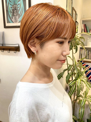 アプリコットオレンジ