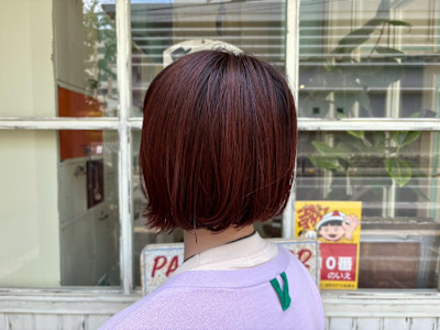 THE BEEHIVE DELUXE×スタイル