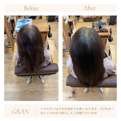 お客様髪質改善データ1851（ヘナカラー）