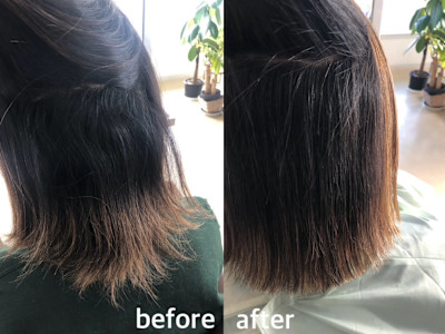 柴田商店(シバタショウテン)