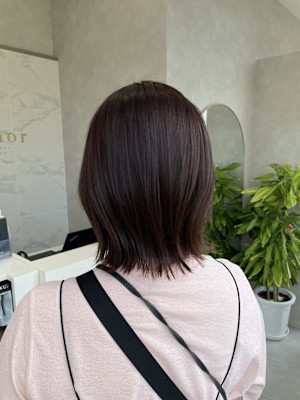 切りっぱなしボブ/ラベンダーカラー