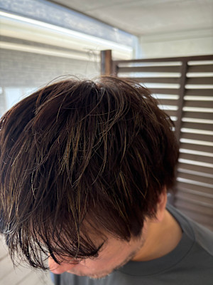 GIENT×mens cut color