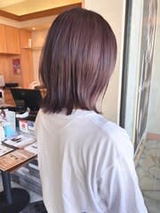 パープルブラウン