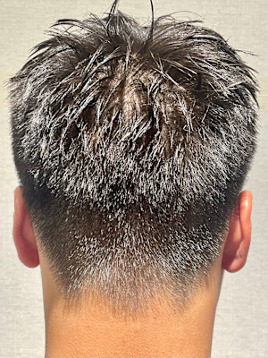 スパイキーショート