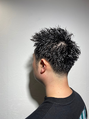 hair Dr.VEGA×スタイル