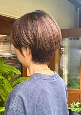 「初夏の美シルエットショート」