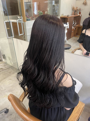 《花屋併設》青みラベンダー