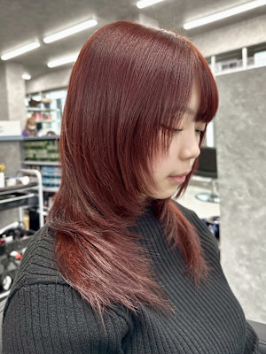 Hair Design Forest. ×スタイル