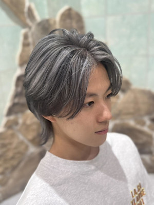 ハイライト/バレイヤージュ/グレージュ