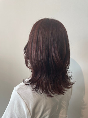 ミディアムレイヤー