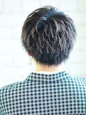 ソフトドライなショートネープウルフ