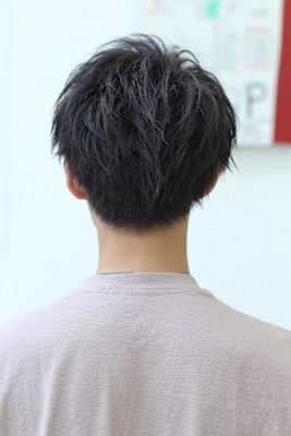 フワボサショート