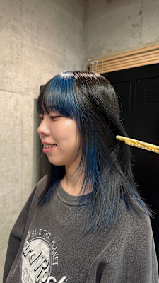 デザインカラー/ブルー